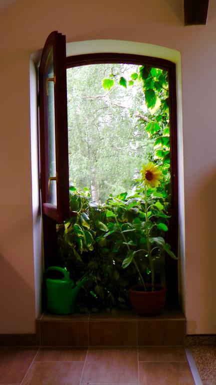 Blumenhaus Apartment Velten Ngoại thất bức ảnh